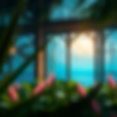 Magnificent An In-Depth Exploration of Kame Paradise Windows in Anime Applications Magnificent An In-Depth Exploration of Kame Paradise Windows in Anime Applications
