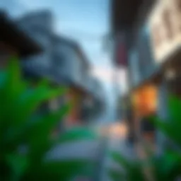 Exploring the Landscape of Anime APKs: Insights and Resources Introduction