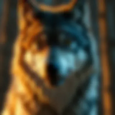 Understanding the Wolf Complex: An Exploration of Character Dynamics and Their Implications Summary